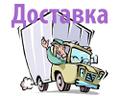 Доставка по КАЗАНИ